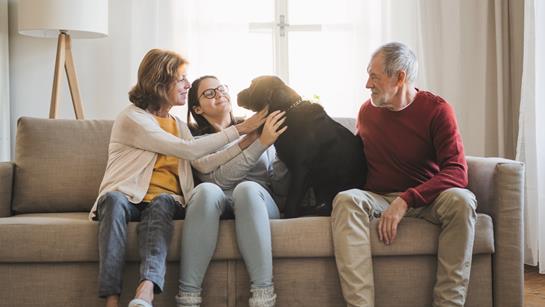 Grandparents With Grandaughter And Dog On Sofa